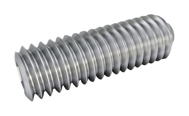 TR Fastenings Tr00015667-000 Set Screw, Hex Socket, M10 X 20mm, Ss A2