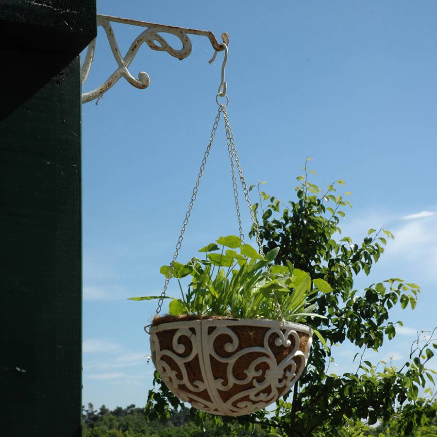 Hanging Basket 30cm