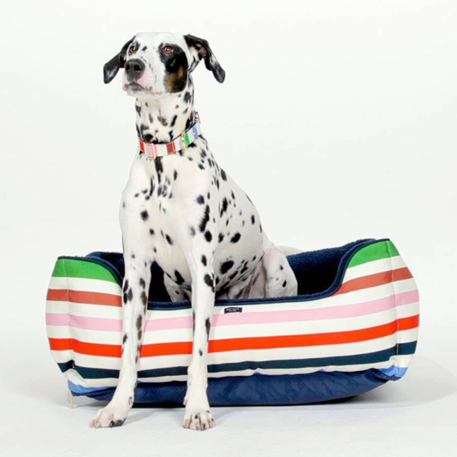 Pet Bed Adventure Stripe