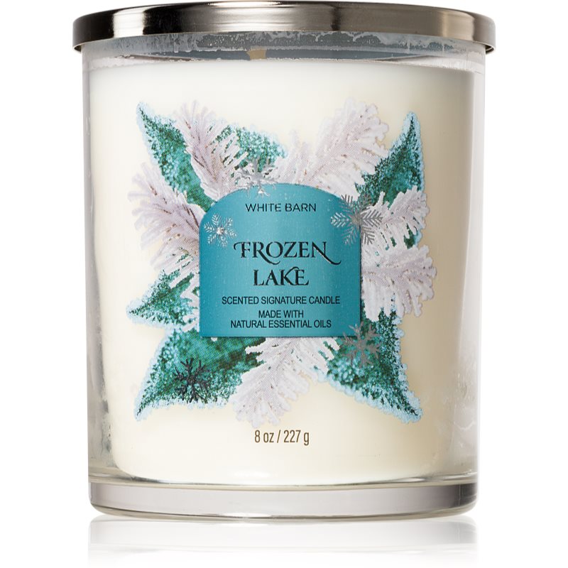 Bath & Body Works Frozen Lake scented candle 227 g