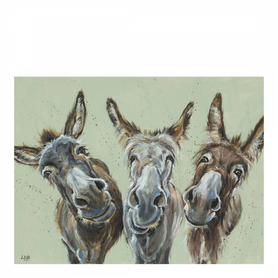 wise asses 30 x 40 cm