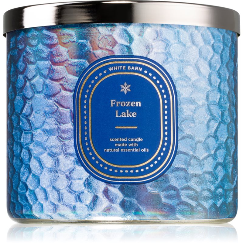 Bath & Body Works Frozen Lake scented candle 411 g